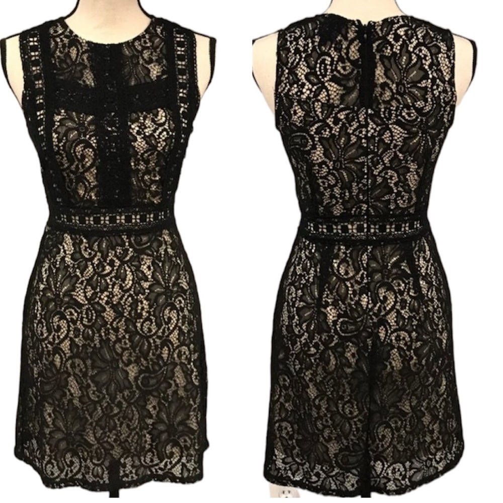 Disney Black and Cream Lace Mini Dress